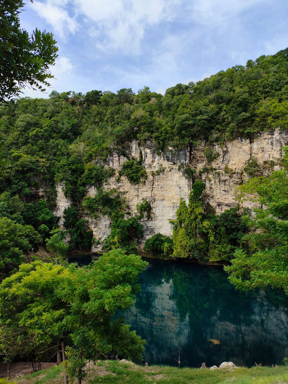 Paisaje turístico de México con cenote y selva
